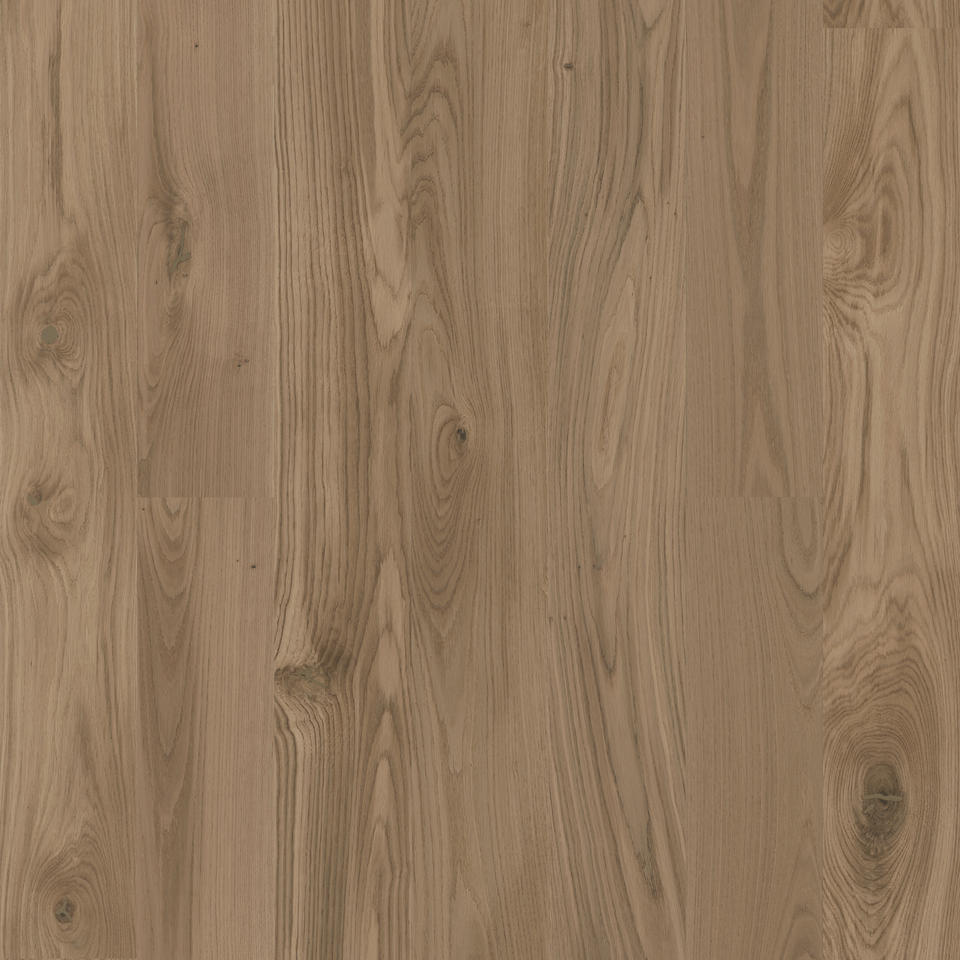 01_tango hrast copper